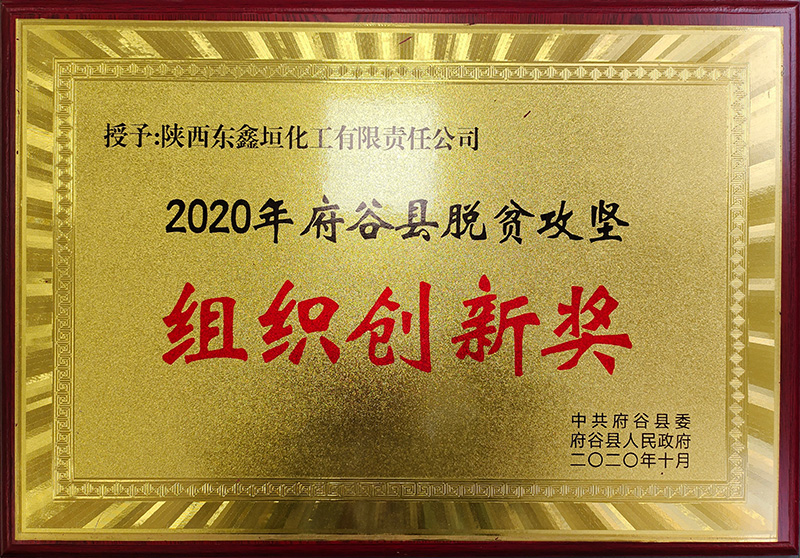 2020年府谷縣脫貧攻堅組織創(chuàng)新獎.jpg