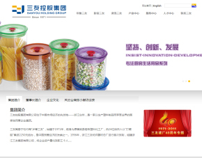 臺州網站建設|臺州網站制作|高端網站設計【臺州盈世網絡】