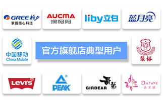 臺州飛速網絡 一站式網站建設、淘寶代運營與優化服務專家